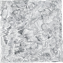 Ne-c 162