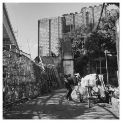 Xin Mặt Trời Ngủ Yên