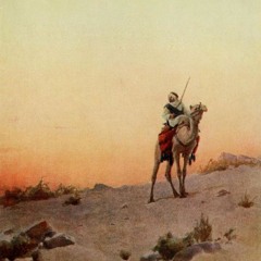 قصيدة المؤنسة بصوت/ أحمد علي