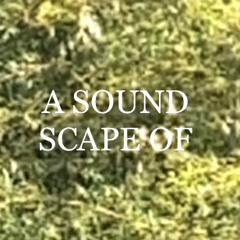 A soundscape of… / Garageband iphone