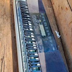 You Know Seth - Permanent