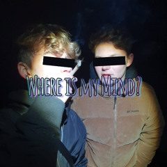 Where is my Mind?