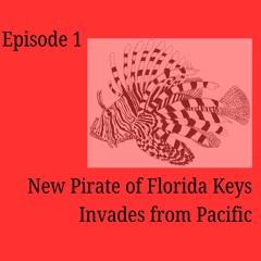 Episode 1: New Pirate of Florida Keys Invades from Pacific