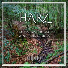 NaturalPark Harz Forest Spring Water River Rain Birds EarsTree HardRain.WAV