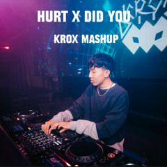 X Box - Hurt Vs Did You (Krox Mashup)