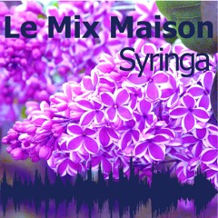 xav mix