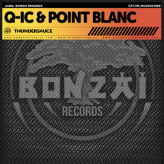 Q-ic & Point Blanc - Thundersauce (back in time mix)