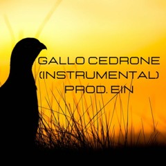 EIN RAP - GALLO CEDRONE (Boom Bap Instrumental Reggae old school)