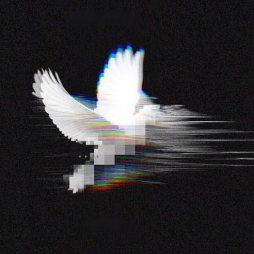 HONEY BUNNY SWEETY ( WM X CLVN X BAMEN ) #NODRAMA