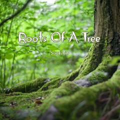 Roots Of A Tree