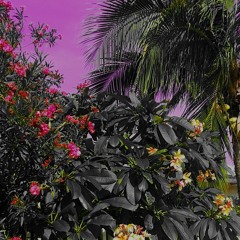 Why Do You Have To Do That?