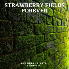 Strawberry Fields (acoustic)