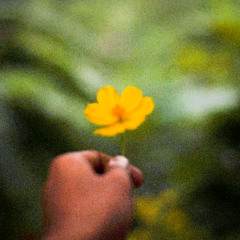 BELIEF