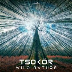 Tsokör - Bewitched