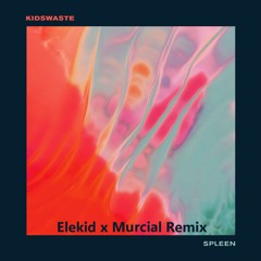 Kidswaste - More Colors feat. Chelsea Cutler (Elekid x Murcial Remix)