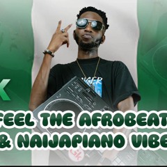 FEEL THE AFROBEATS & NAIJAPIANO 2k24 By GASK