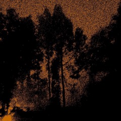 Ambient