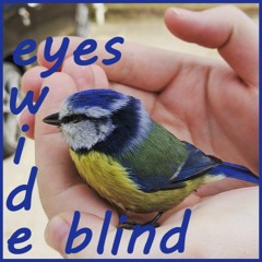 Eyes Wide Blind