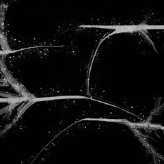 back&forth (draft 1)