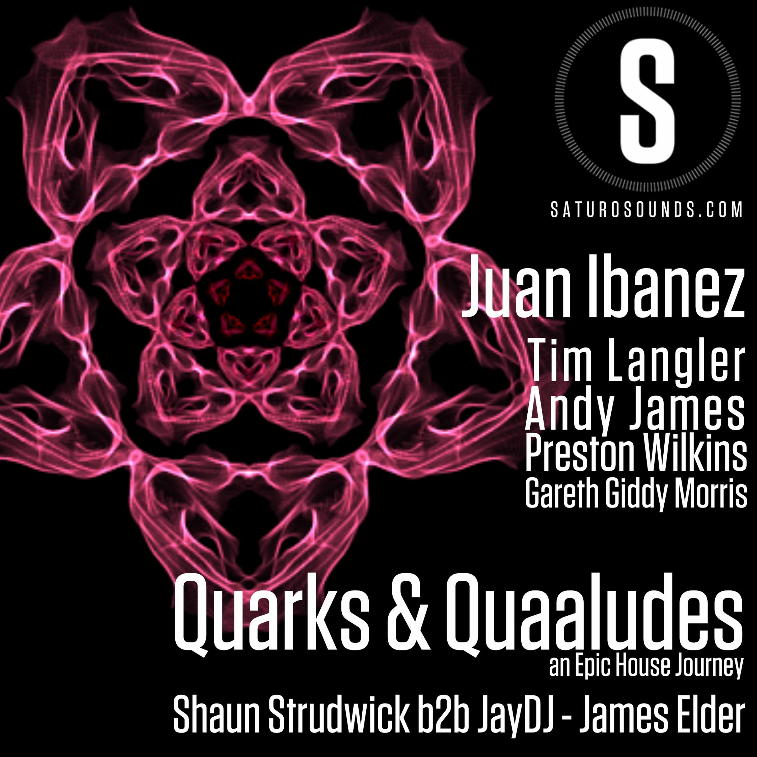 Quarks & Quaaludes #EpicHouseJourney