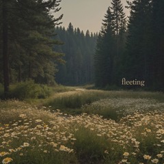 Fleeting | The Romantic Piano - SoundAudio