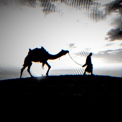 【Kyoku 2024】 Camel Crusher