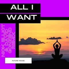 All I Want David Gonzend Remix