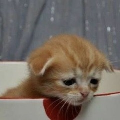 not4long/## (prod. narcix)