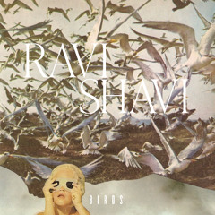 Ravi Shavi - "Birds"