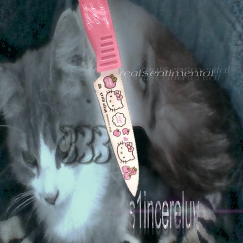 s1ncereluv (prod. draculautaro)