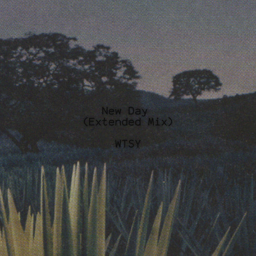 New Day (Extended Mix) - Unreleased