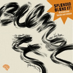 Splendid Blend It Mixtape [2024]