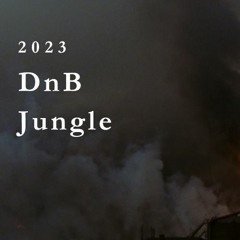 dnb / jungle 2023