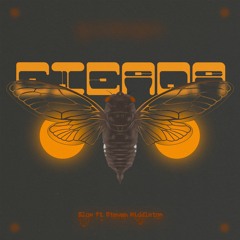 Cicada Ft. Steven Middleton