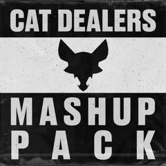 Slow Down vs Your Body (Cat Dealers Mashup)