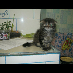 i miss the feeling of being kid