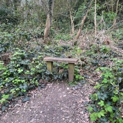 Experimental music - Afterlife…