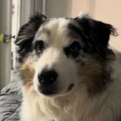 [PirateRadio87]  LIZOT x PaSt x D.T.E – Seven Nation Army [Slowed]