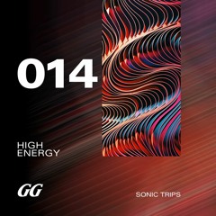 014 Sonic Trips | HIGH ENERGY