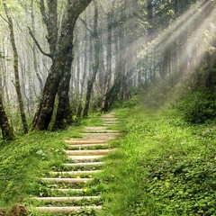 Onwards 20 - 03 - 29