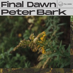 nu.wav - Peter Bark - Final Dawn