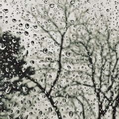 Gentle Melodies