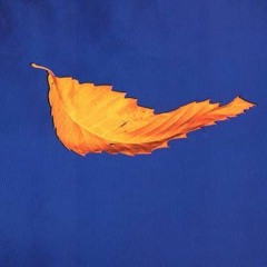 The Transience of Triumph