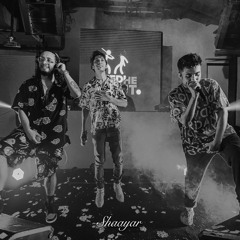 Shaayar (feat. Seedhe Maut)