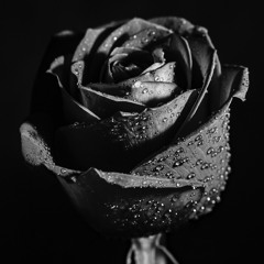 4 Those We Have Lost