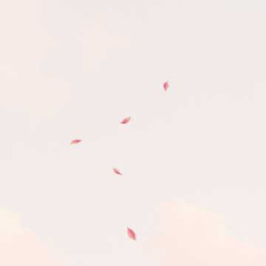 freestyle 19 -nada queda