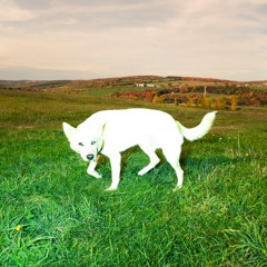 PREMIERE: Dryland - Calima [Salgari Records]