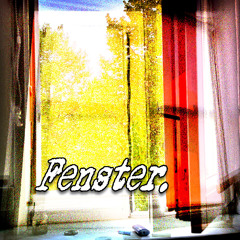 1. fenster