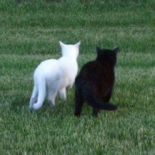 Пl3nk▲ plenka - Nightmare V.1 (slowed)