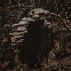 i don’t know what to do (prod.neverforever)